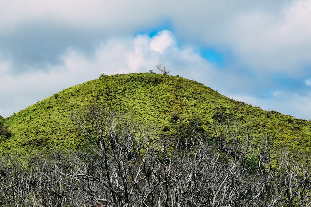 green mountain under blue sky during daytime