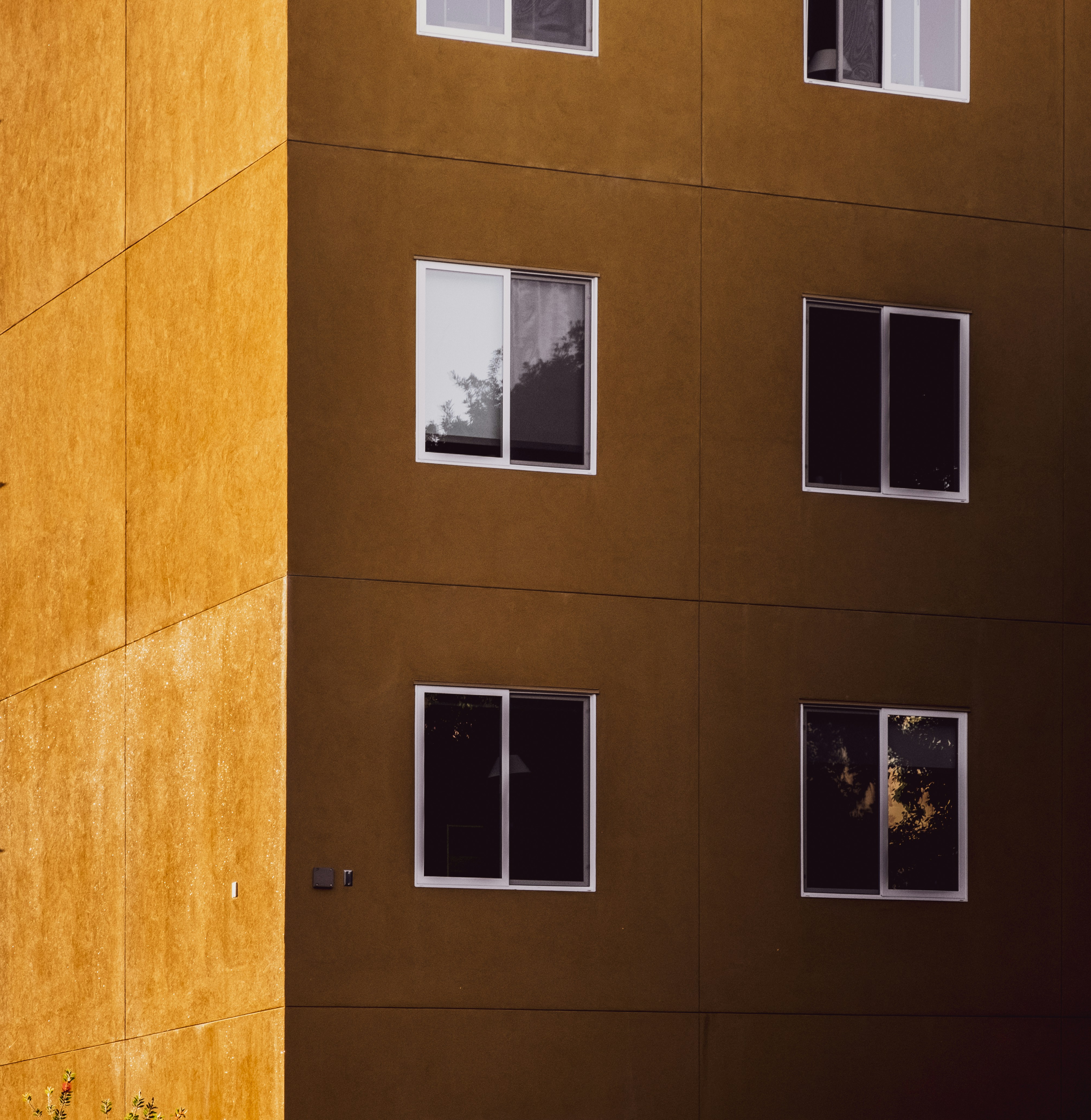 Photo by parsoakhorsand