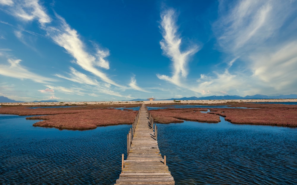 brown wooden dock on river under blue sky during daytime