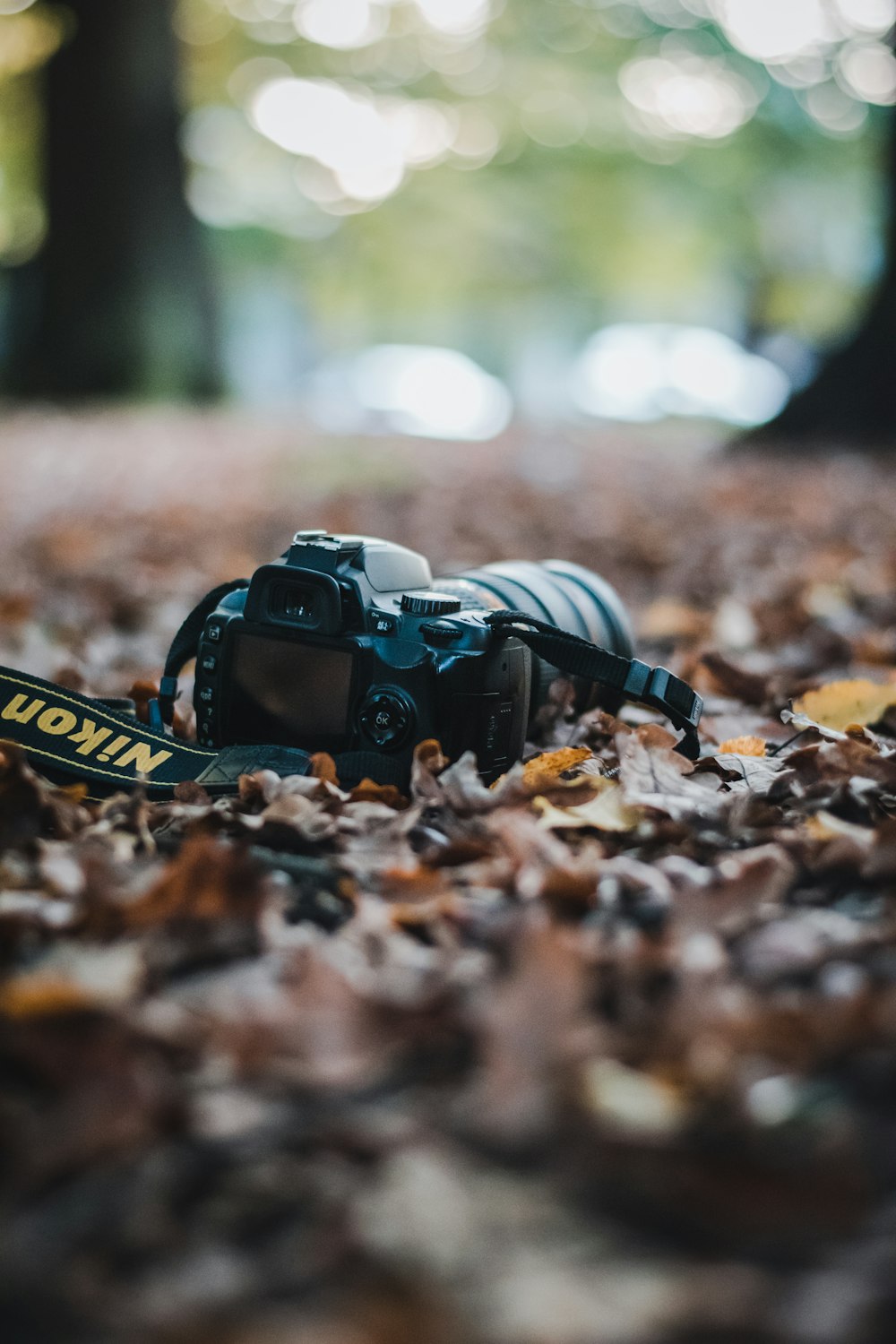 Cámara DSLR Nikon en blanco y negro sobre hojas marrones