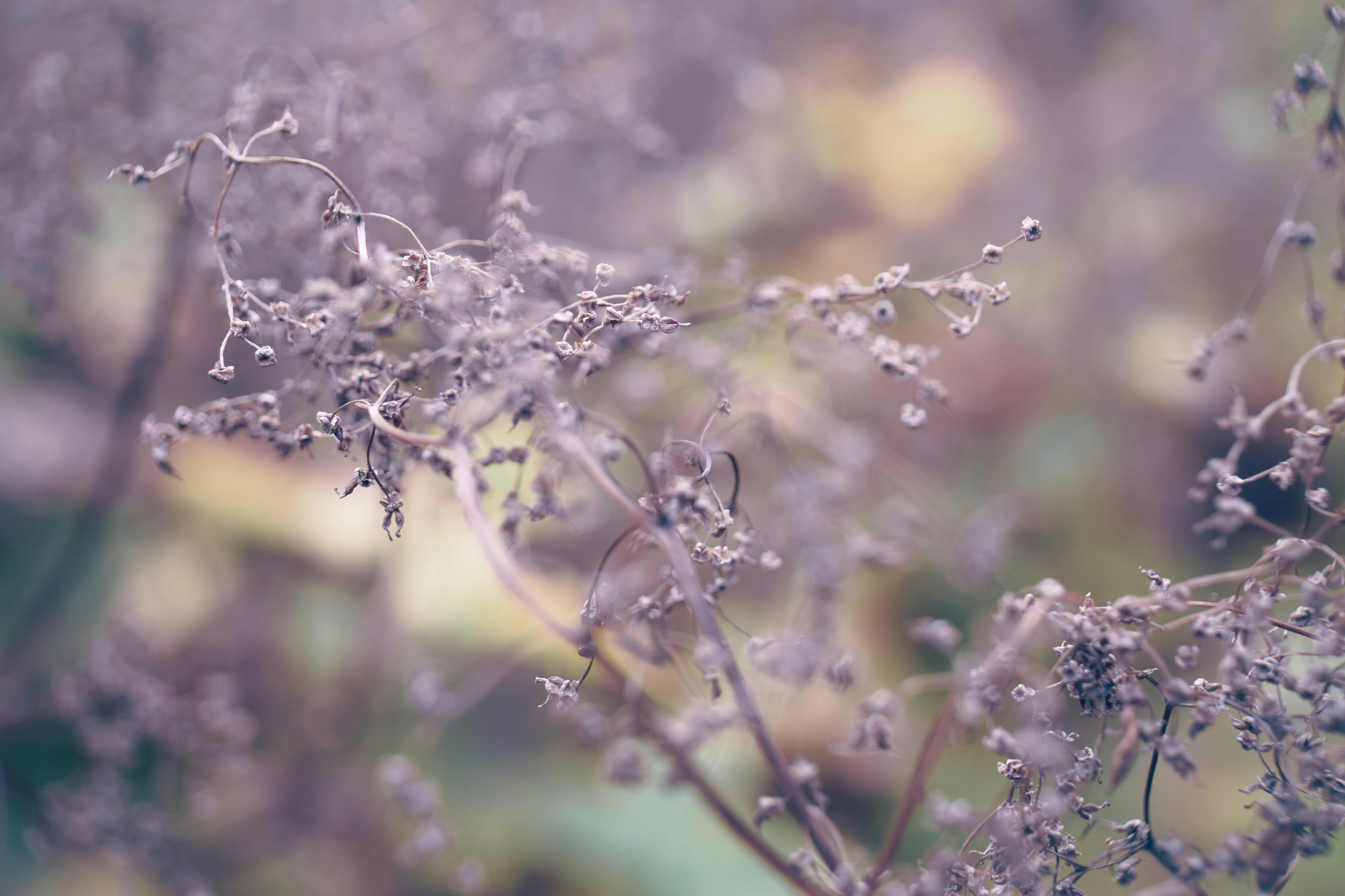 Photo by eleanorbrooke