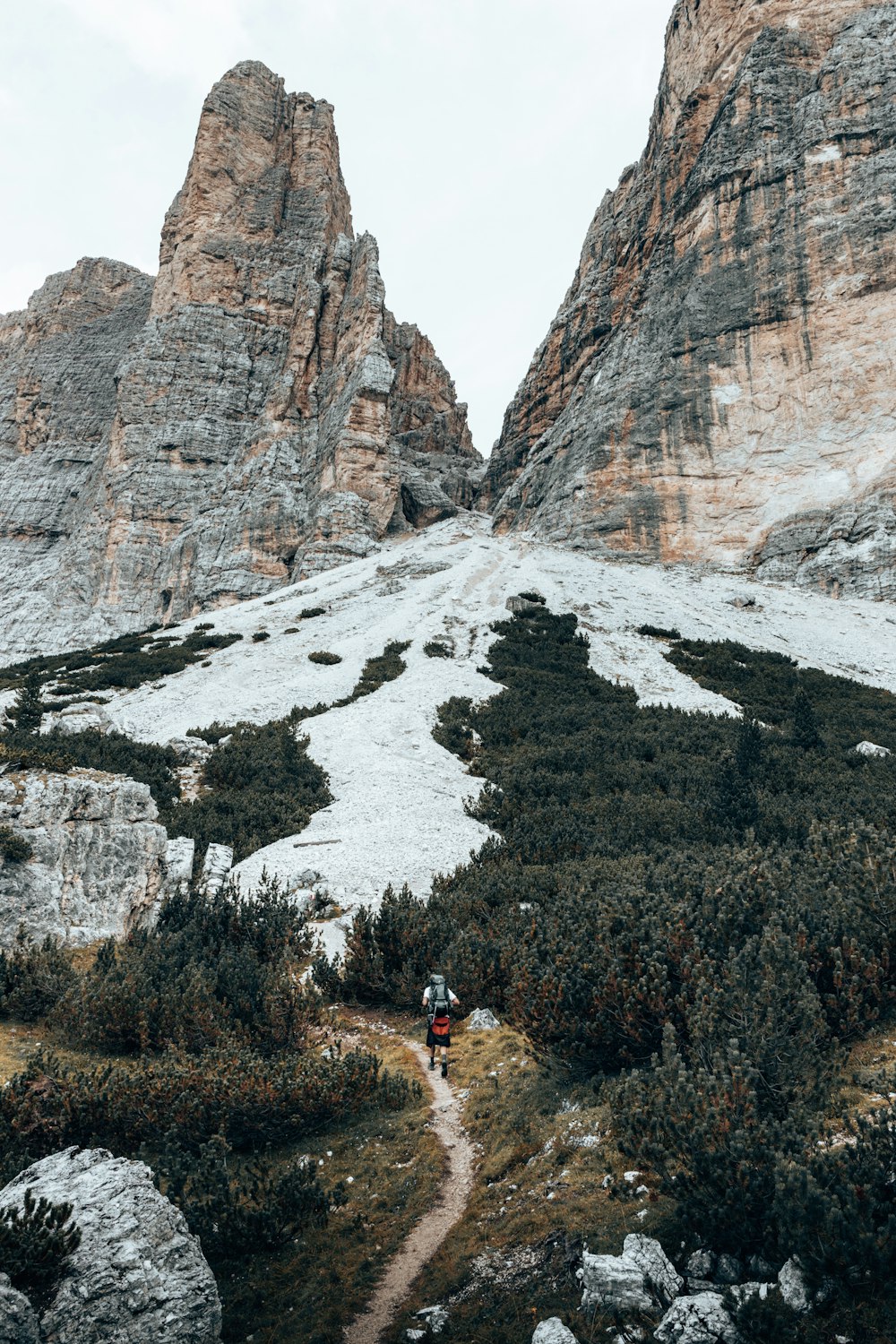 people on mountain during daytime