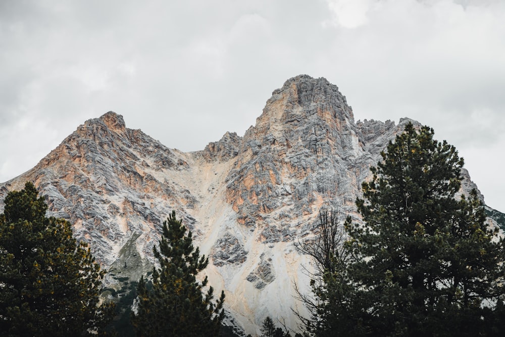 green trees near brown mountain under white clouds during daytime