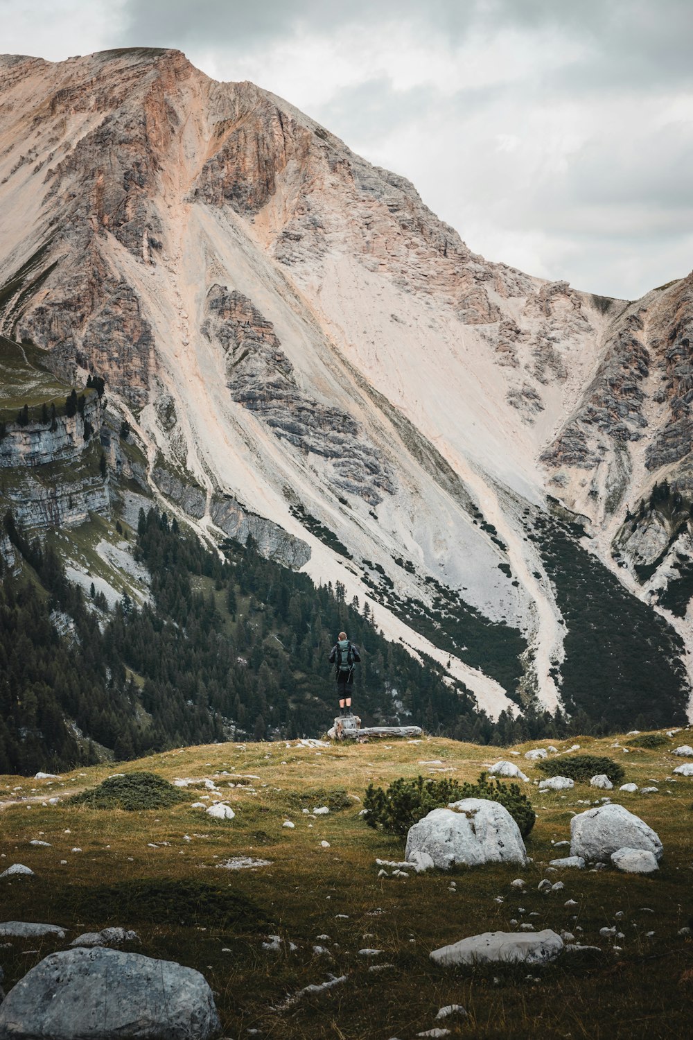 person standing on green grass near gray mountain during daytime