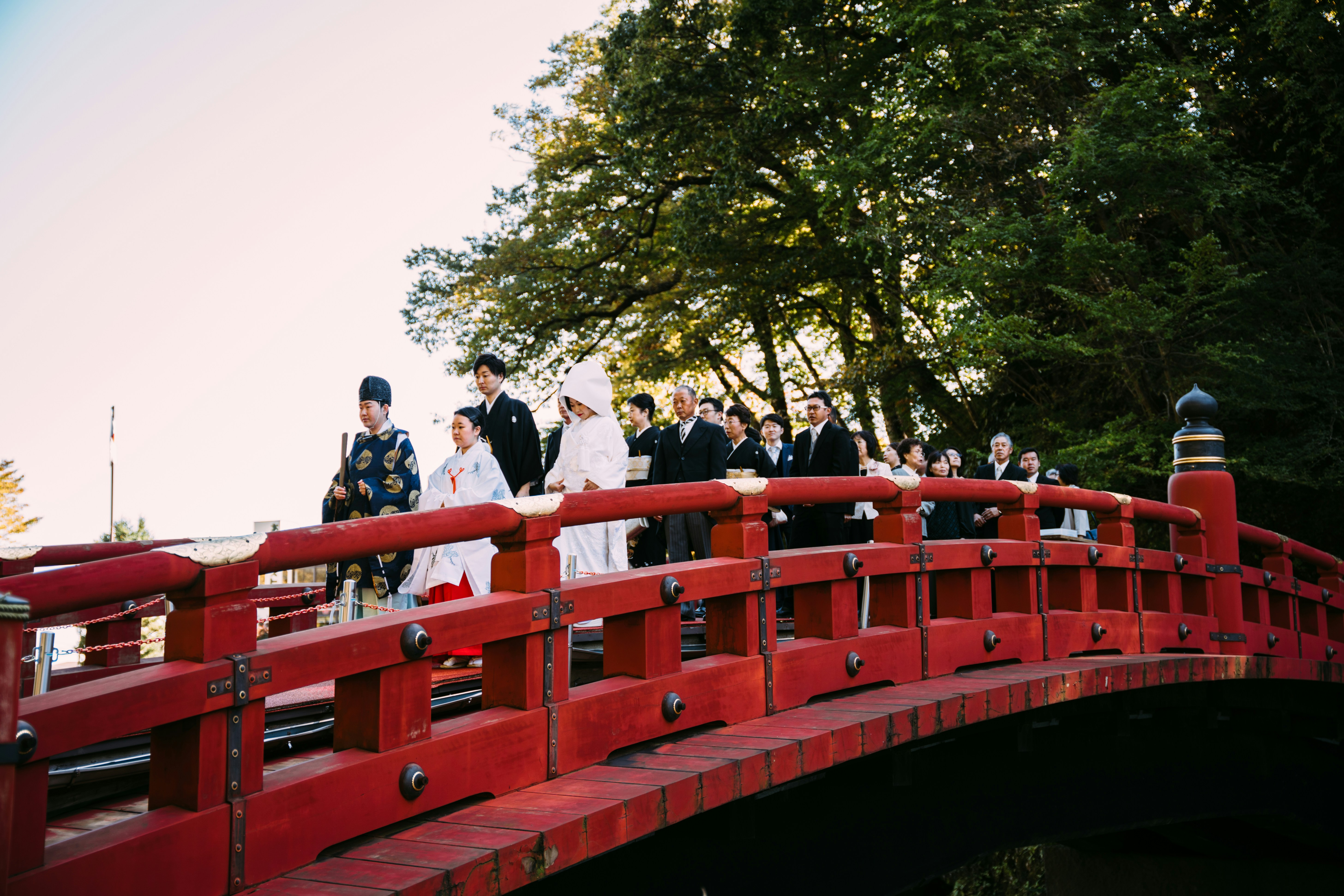 Photo by paracetamol