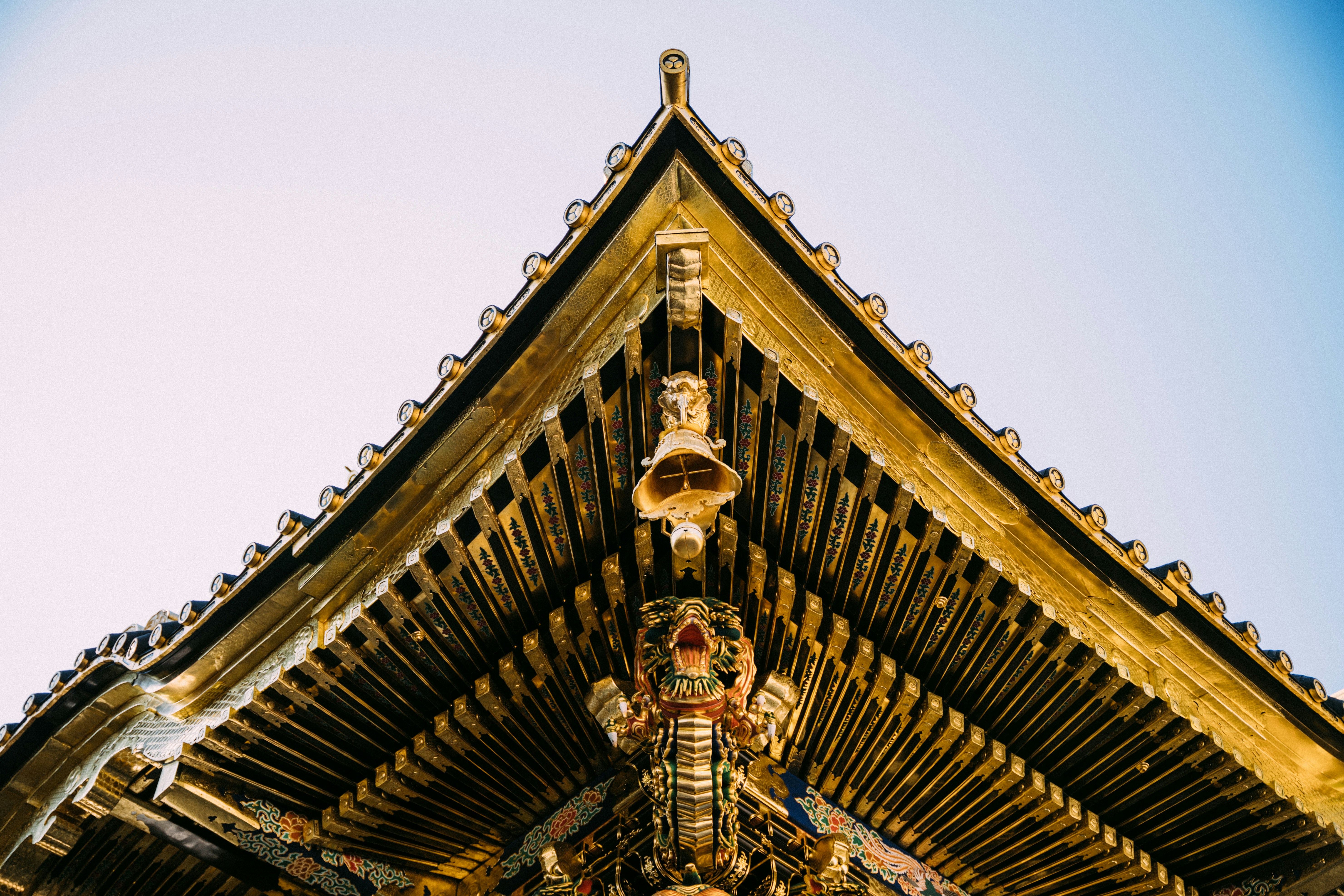 Photo by paracetamol