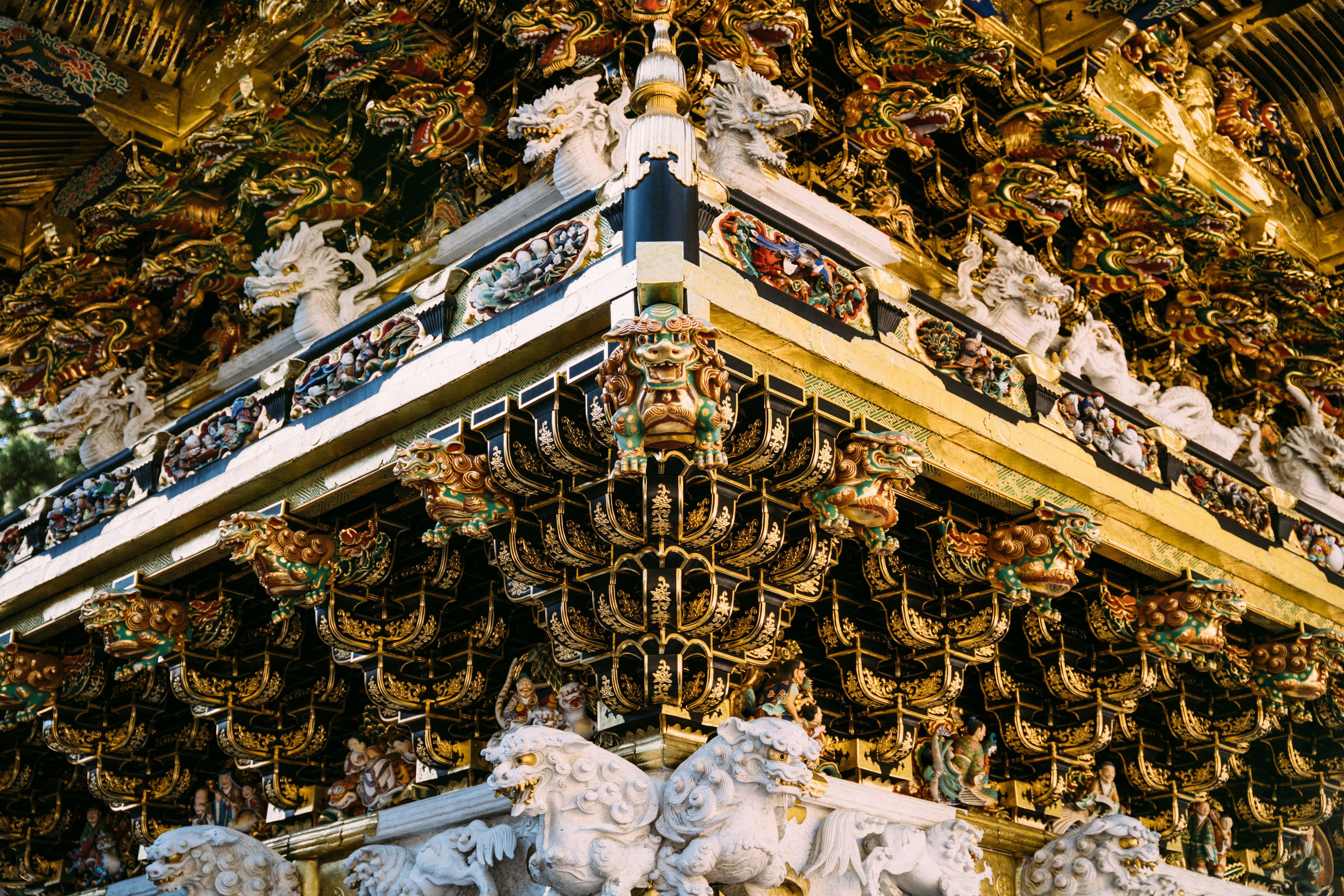 Photo by paracetamol