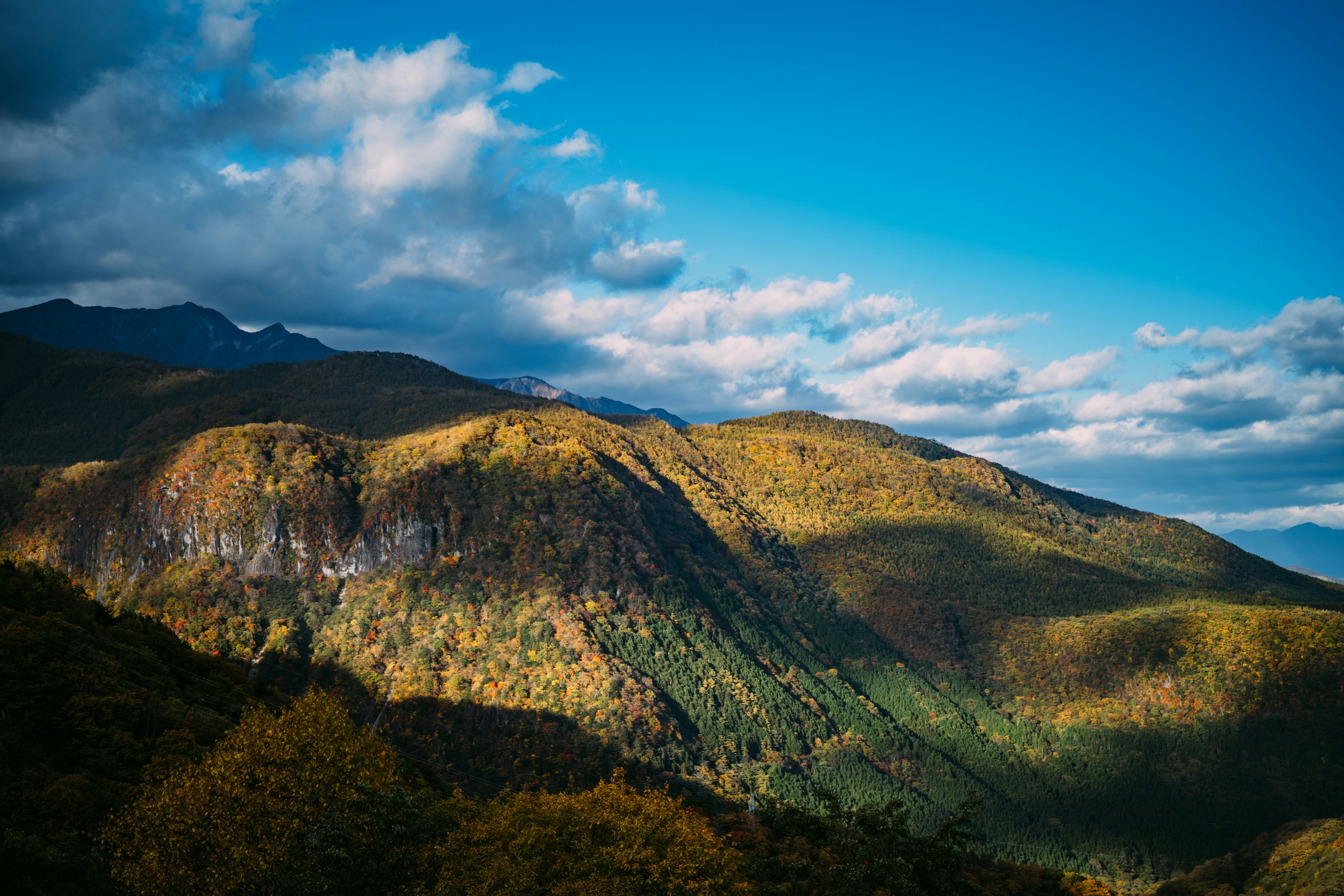 Photo by paracetamol