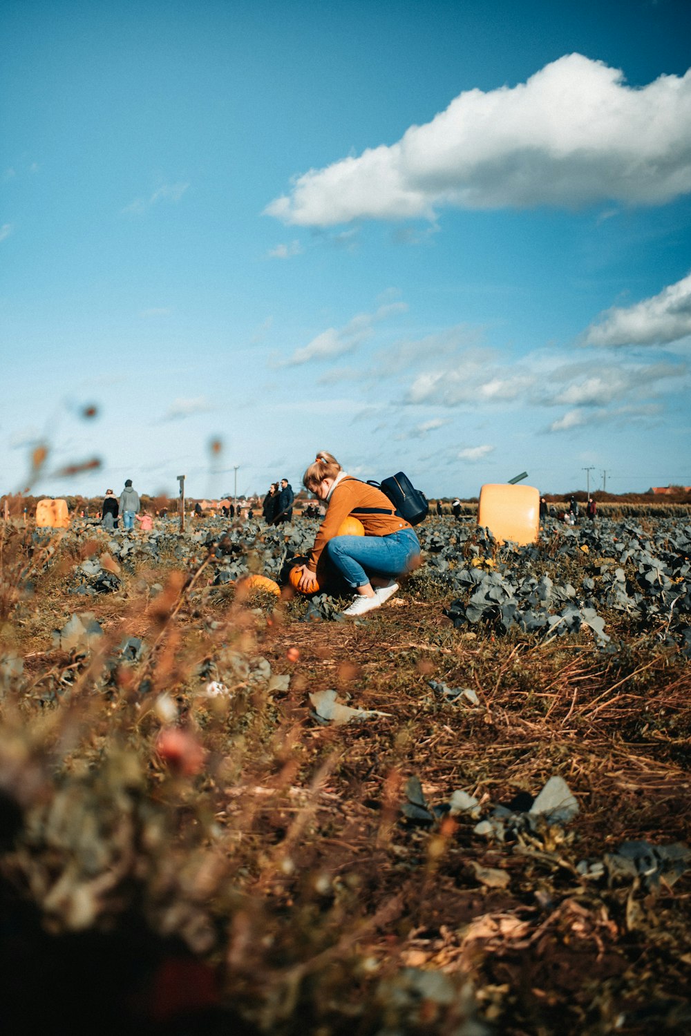 woman in blue long sleeve shirt and blue denim jeans sitting on brown dried leaves during