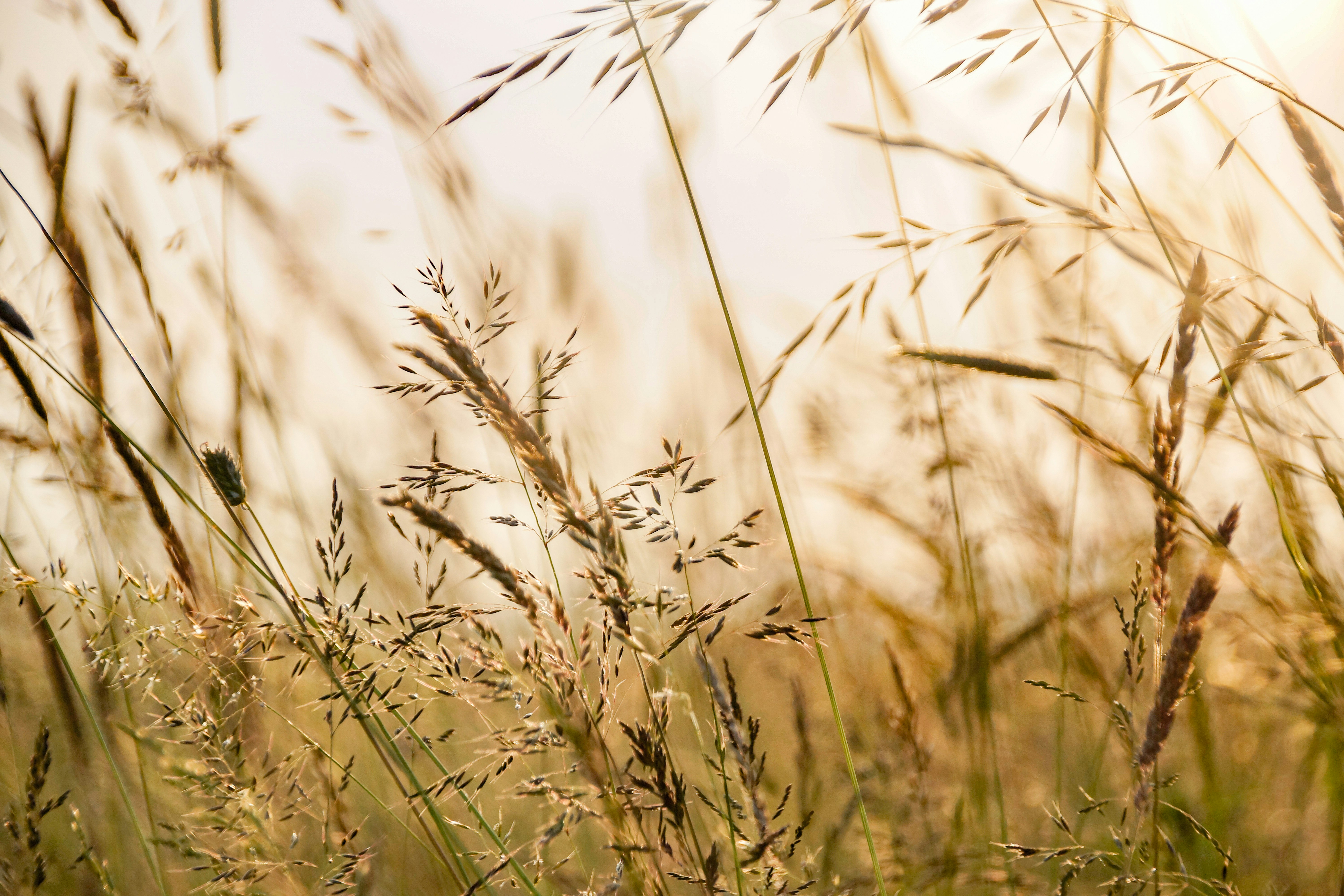 Photo by jessicaschuster