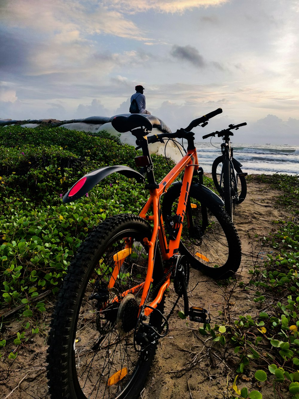 낮 동안 수역 근처의 푸른 잔디밭에서 검은 색과 주황색 산악 자전거