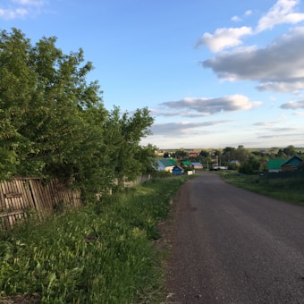 A rural road stretches into the distance, bordered by green grass and lush trees on one side and a wooden fence on the other. Small houses with colorful roofs are visible along the road, under a sky partially covered with fluffy clouds.