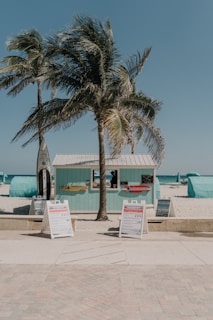 A small beach shack with a light blue exterior is flanked by two large palm trees. Surfboards and advertisements are displayed on the shack. There are signs with information placed on the sandy path leading up to the shack. In the background, there are bright blue beach tents and lounge chairs on the sand, next to a calm ocean under a clear sky.