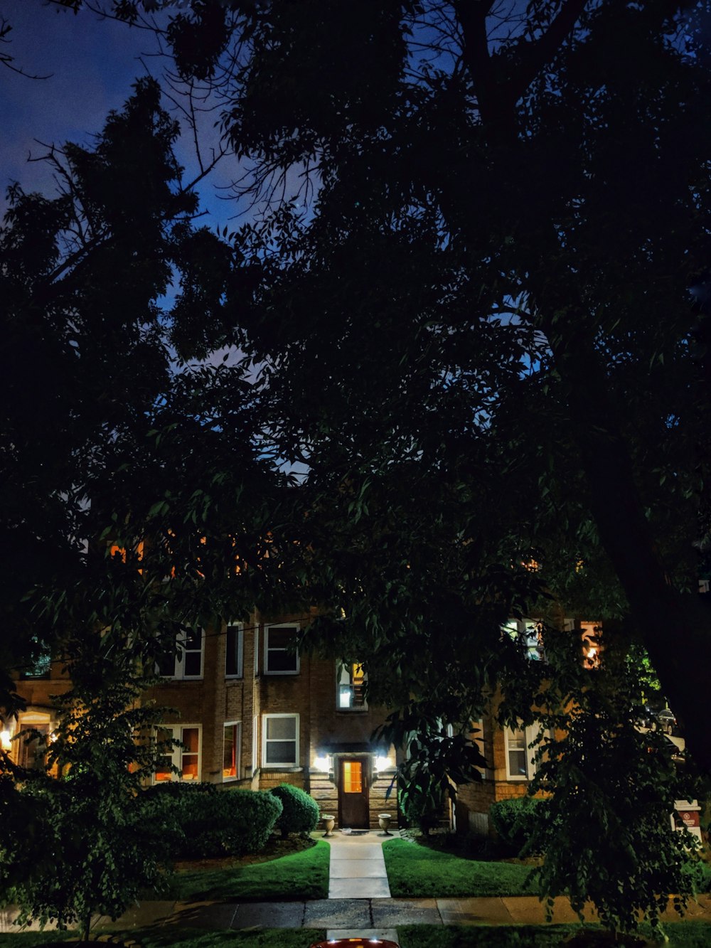 green trees near brown concrete building during night time