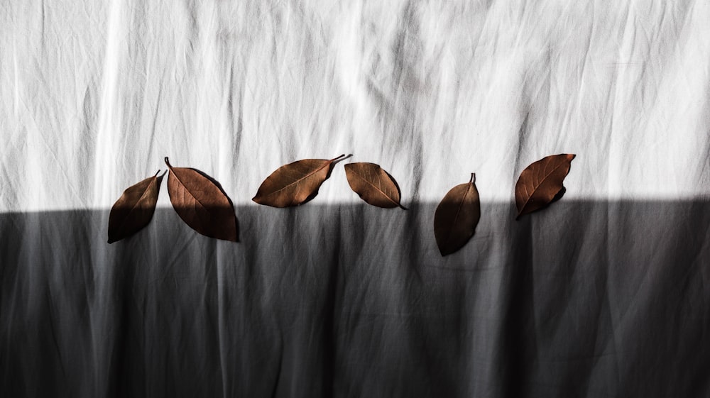 brown leaves on white textile