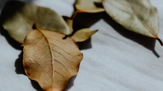 Textured linen fabric resting on a wooden table with scattered dried leaves.