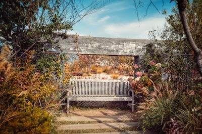 Spacious backyard garden with a vegetable patch and wooden bench.