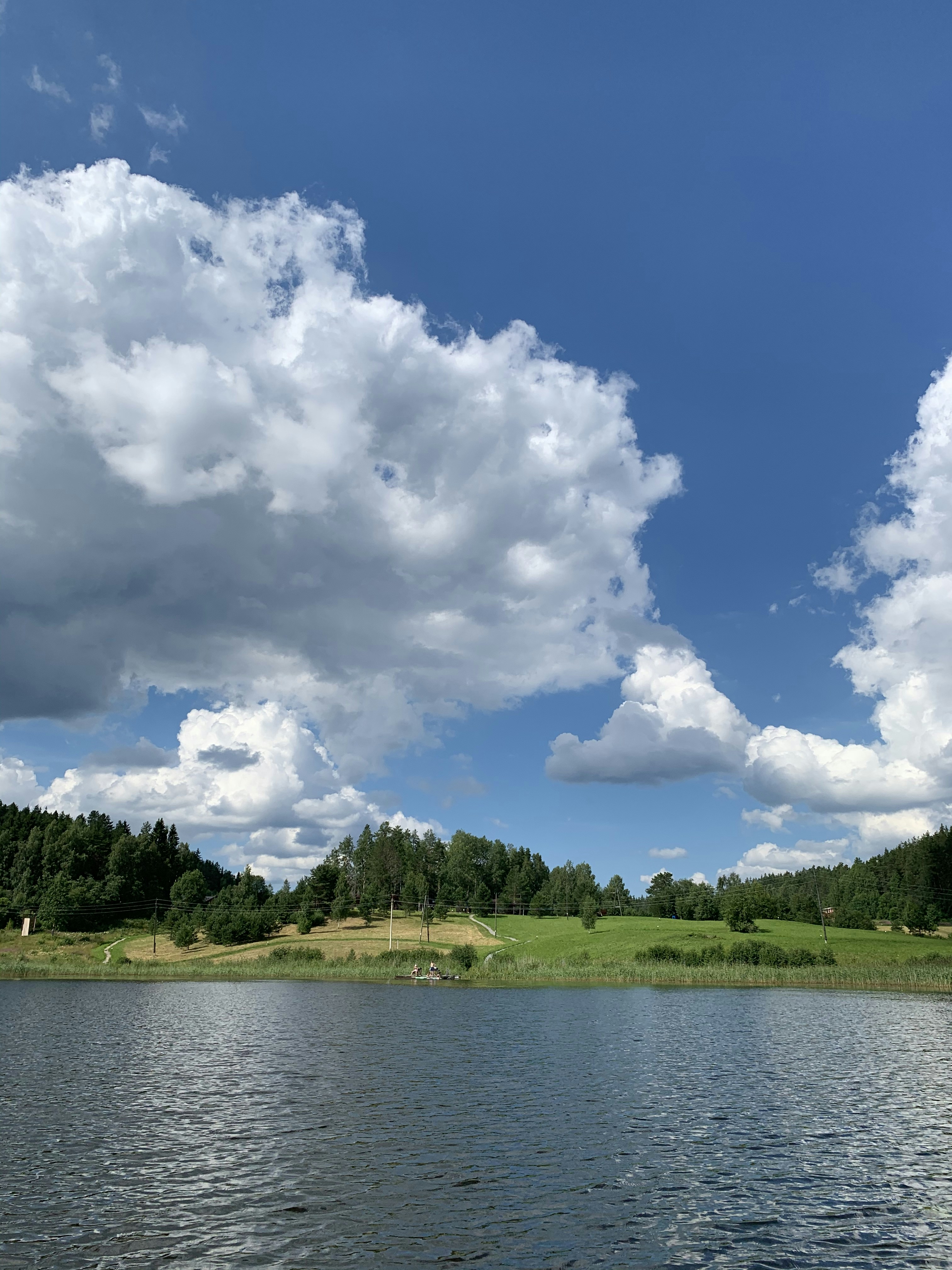 Green trees beside river under white clouds and blue sky during daytime ...
