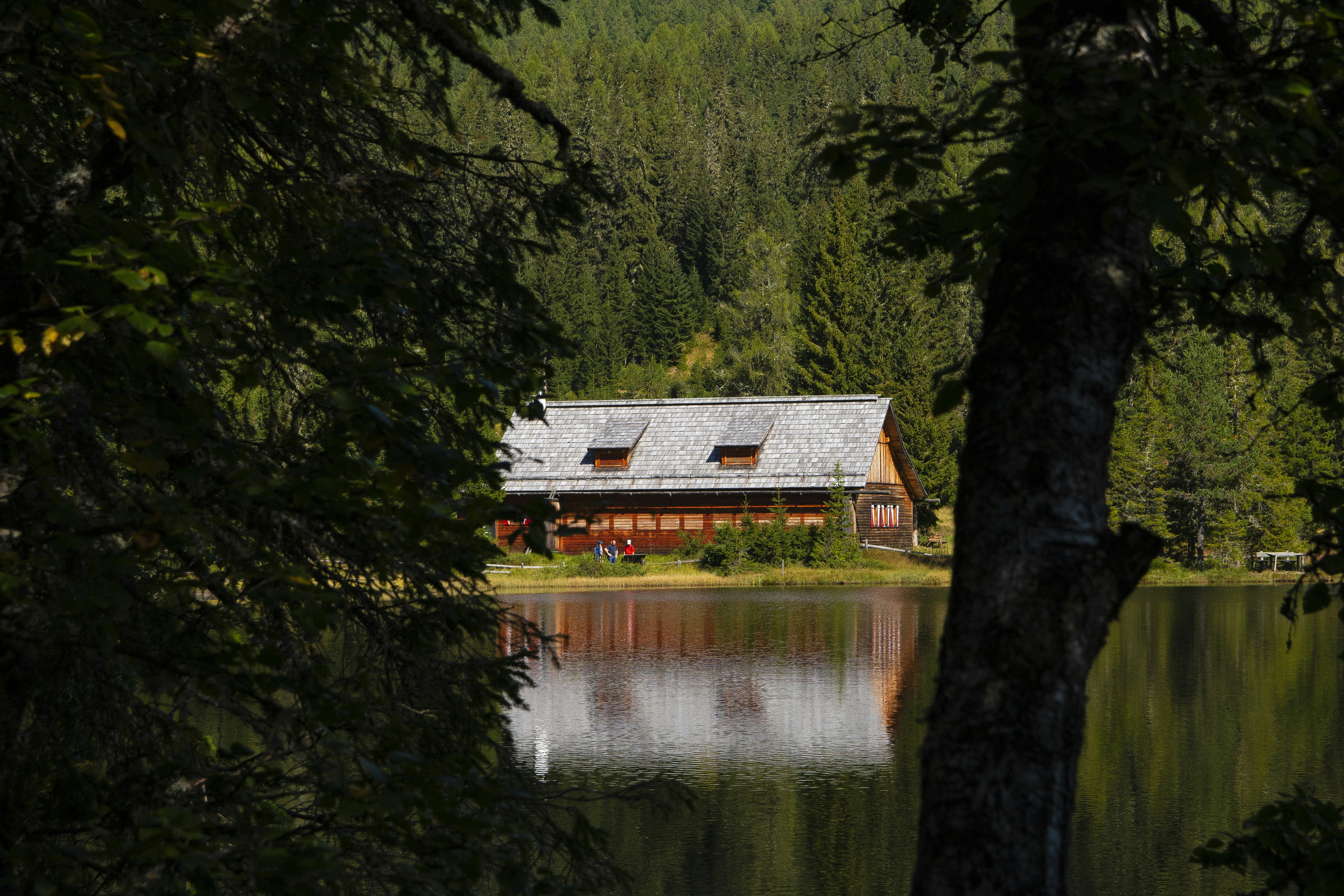 brown wooden house on lake near green trees during daytime
