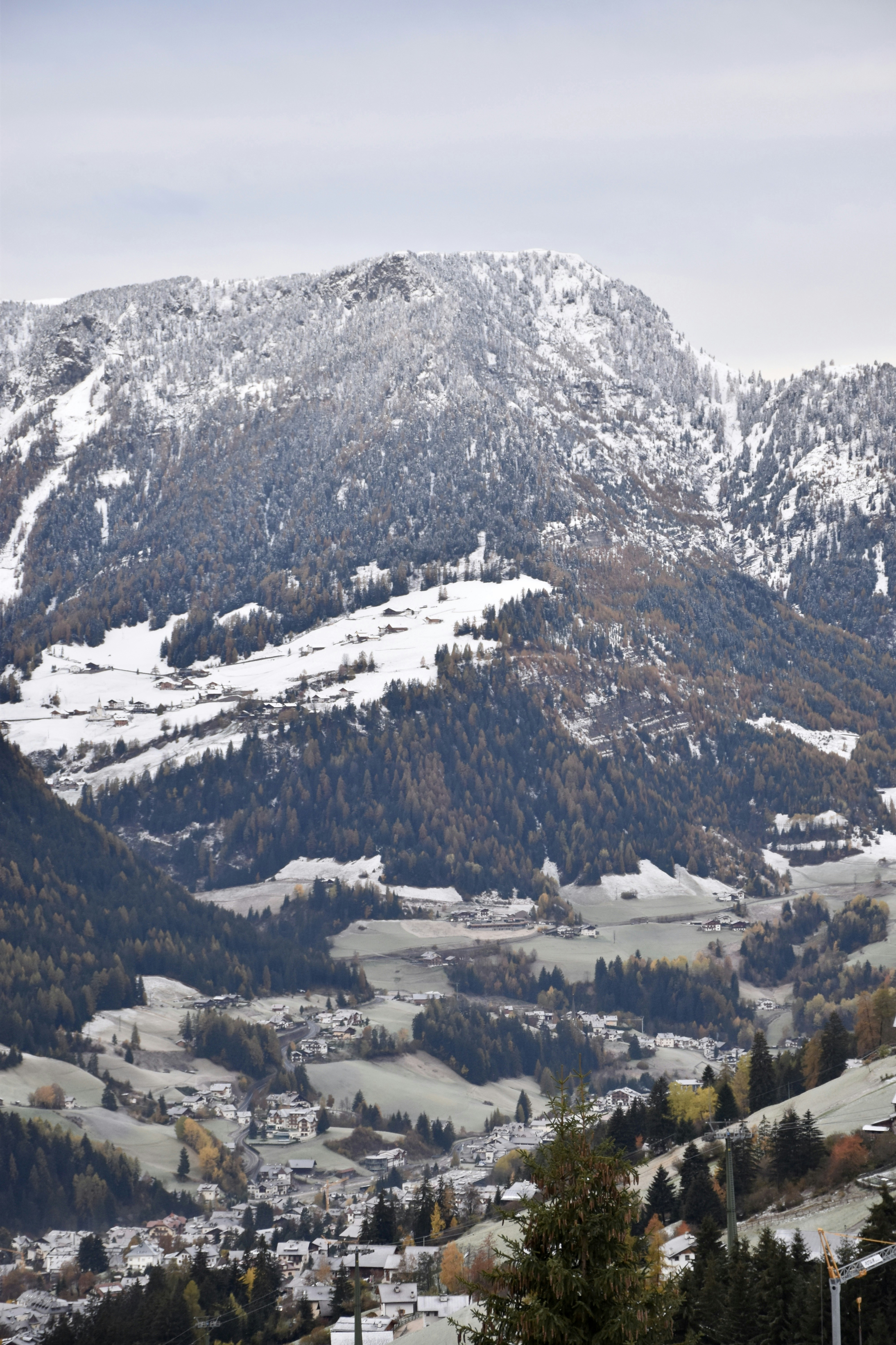 Photo by arnosenoner