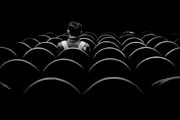 A lone individual sits facing away from the camera in a large and empty theater or cinema, surrounded by rows of empty seats. The scene is captured in black and white, creating a heightened sense of solitude.
