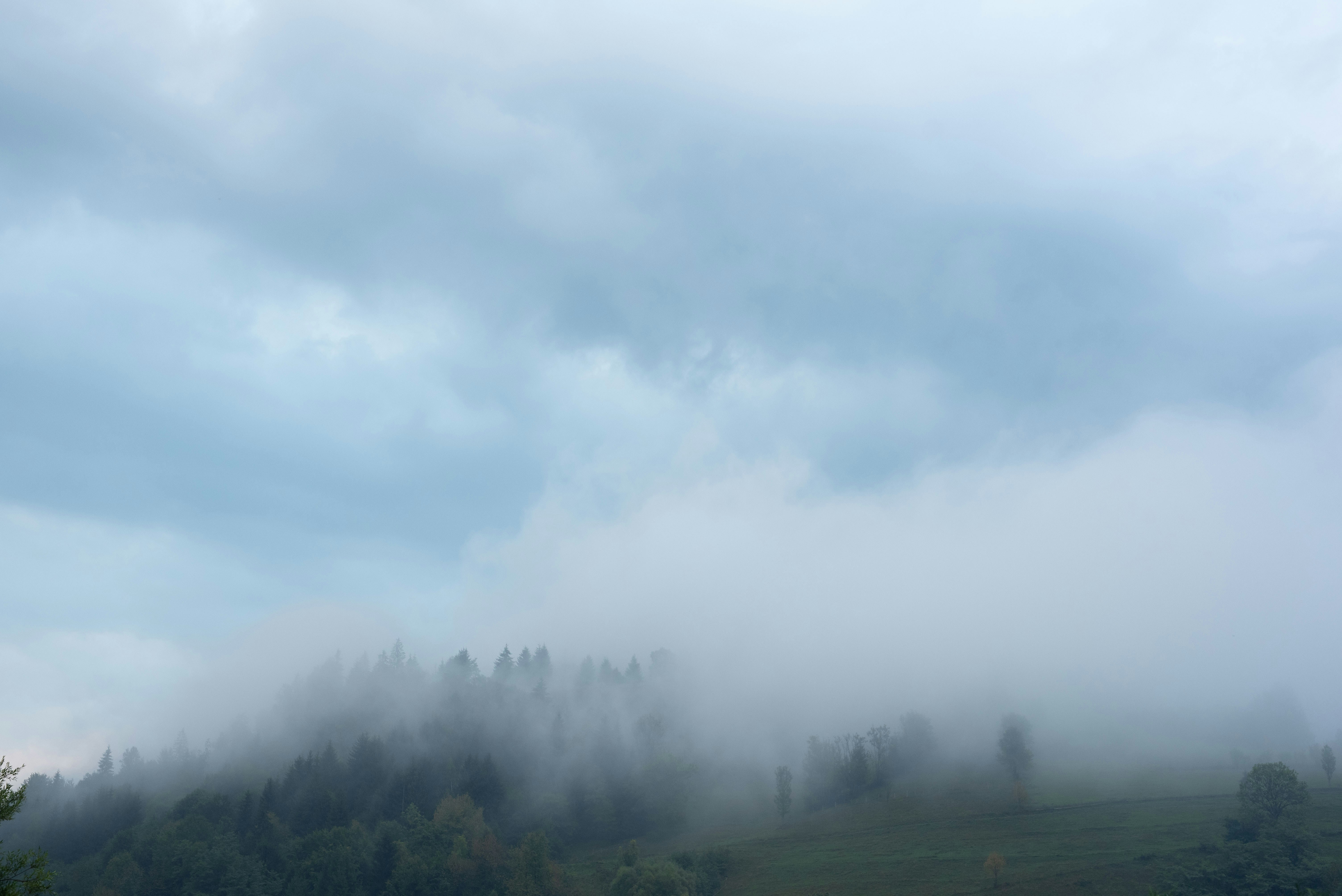 Photo by mihaelflorentin