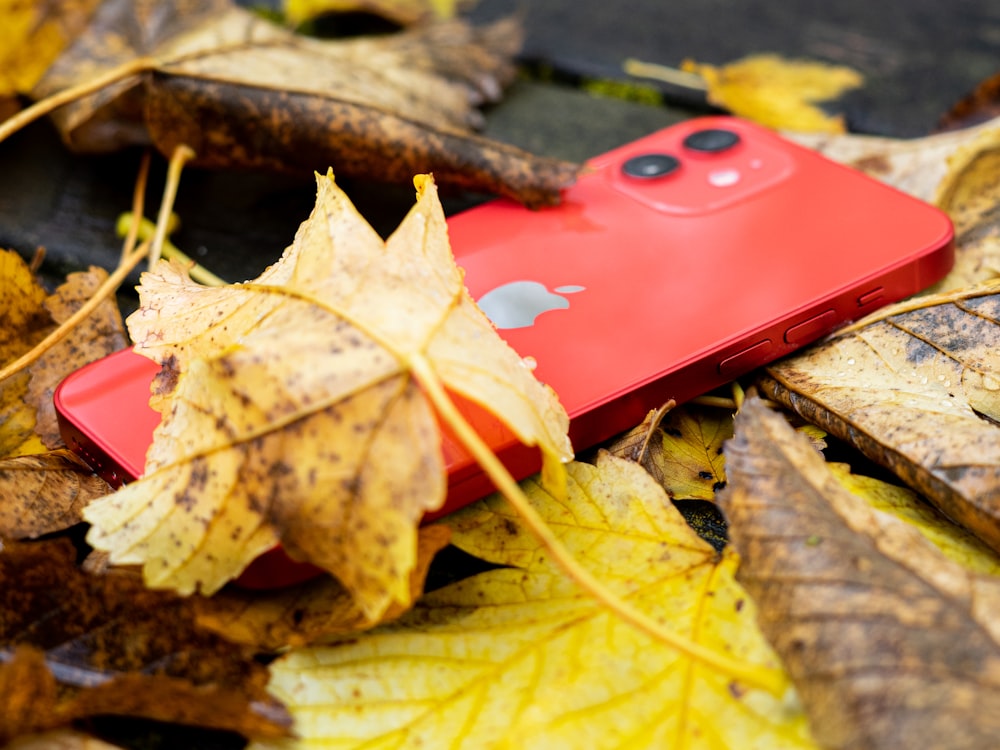 red iphone case on dried leaves