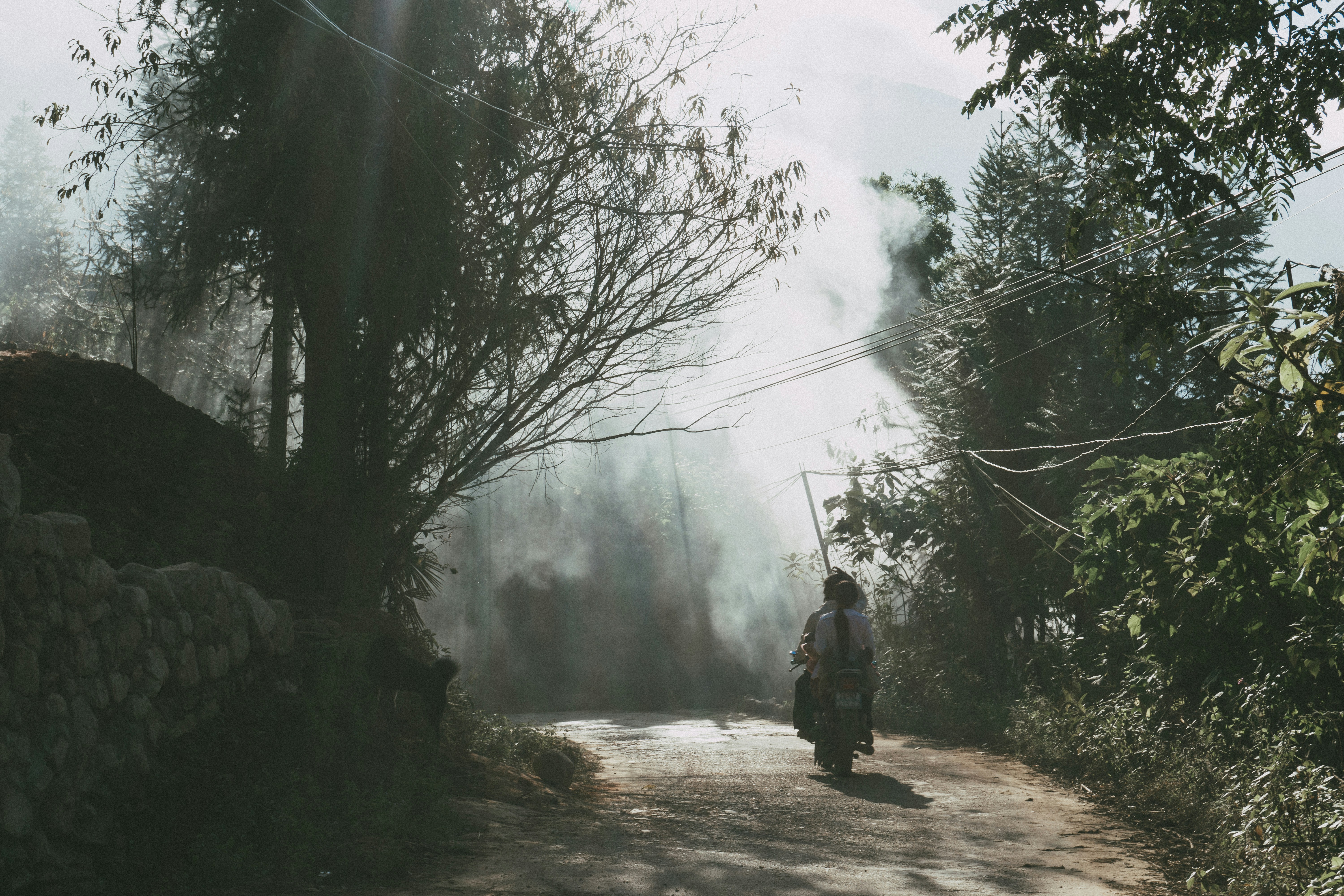 Photo by tienvn3012