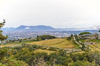 A picturesque landscape featuring rolling hills covered with green and golden fields. Trees and vineyards are scattered across the terrain leading up to a distant, sprawling cityscape nestled at the base of blue-tinged mountains. A winding road cuts through the countryside, passing by traditional rural houses.