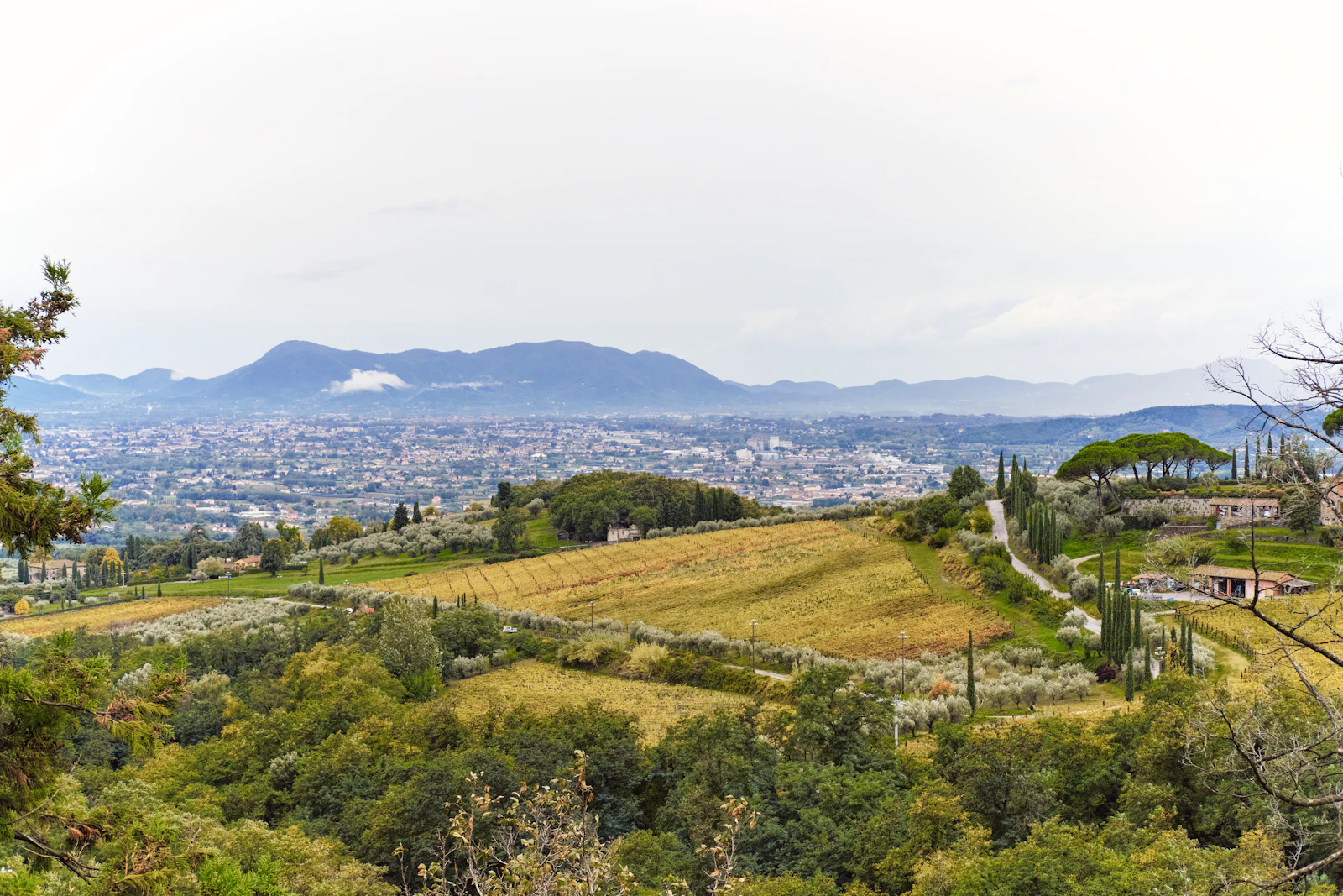Bagni di Pisa Palace & Thermal Spa