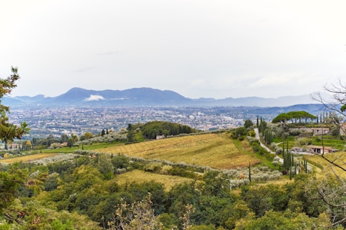 A picturesque landscape featuring rolling hills covered with green and golden fields. Trees and vineyards are scattered across the terrain leading up to a distant, sprawling cityscape nestled at the base of blue-tinged mountains. A winding road cuts through the countryside, passing by traditional rural houses.