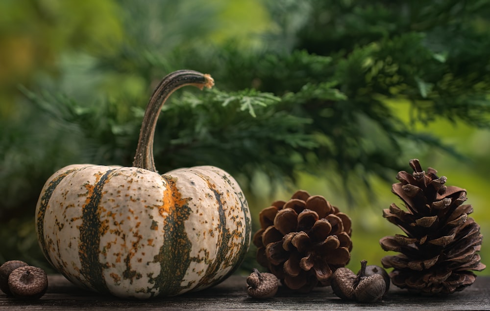 green and yellow pumpkin on brown wooden table