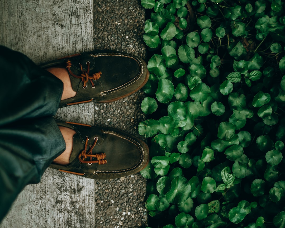 person wearing brown leather shoes
