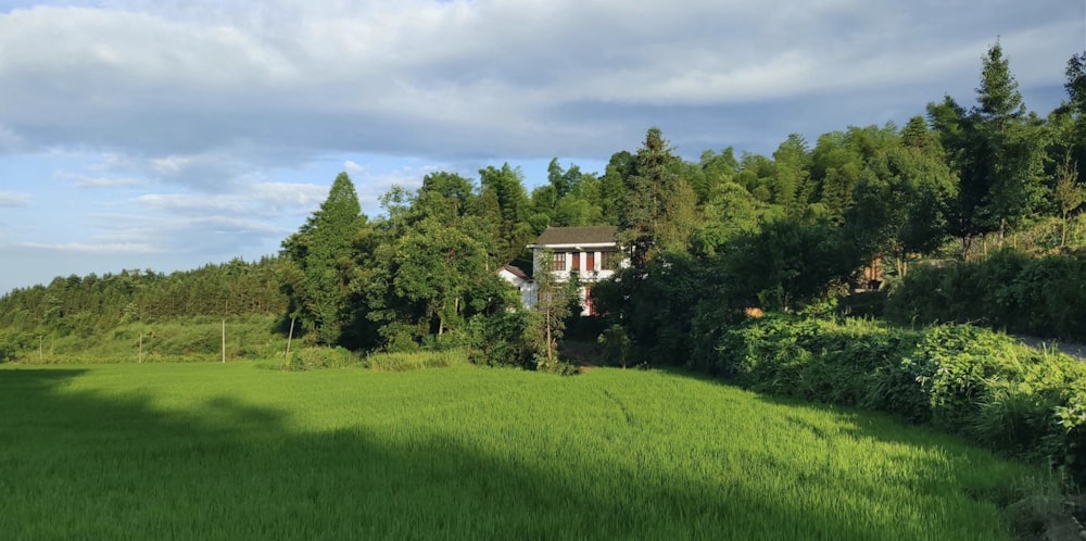 green grass field near green trees under white clouds during daytime