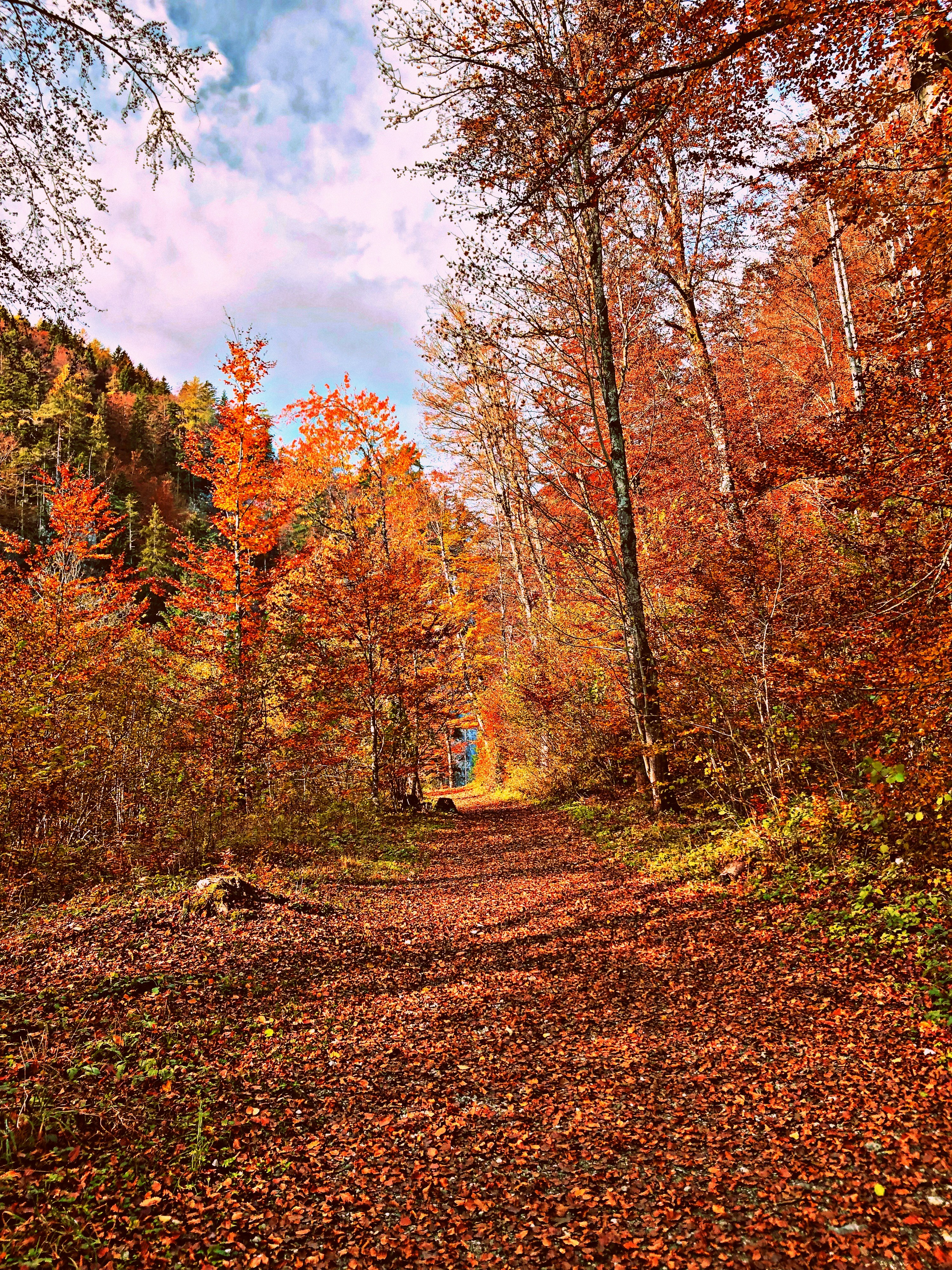 Photo by barrystriker