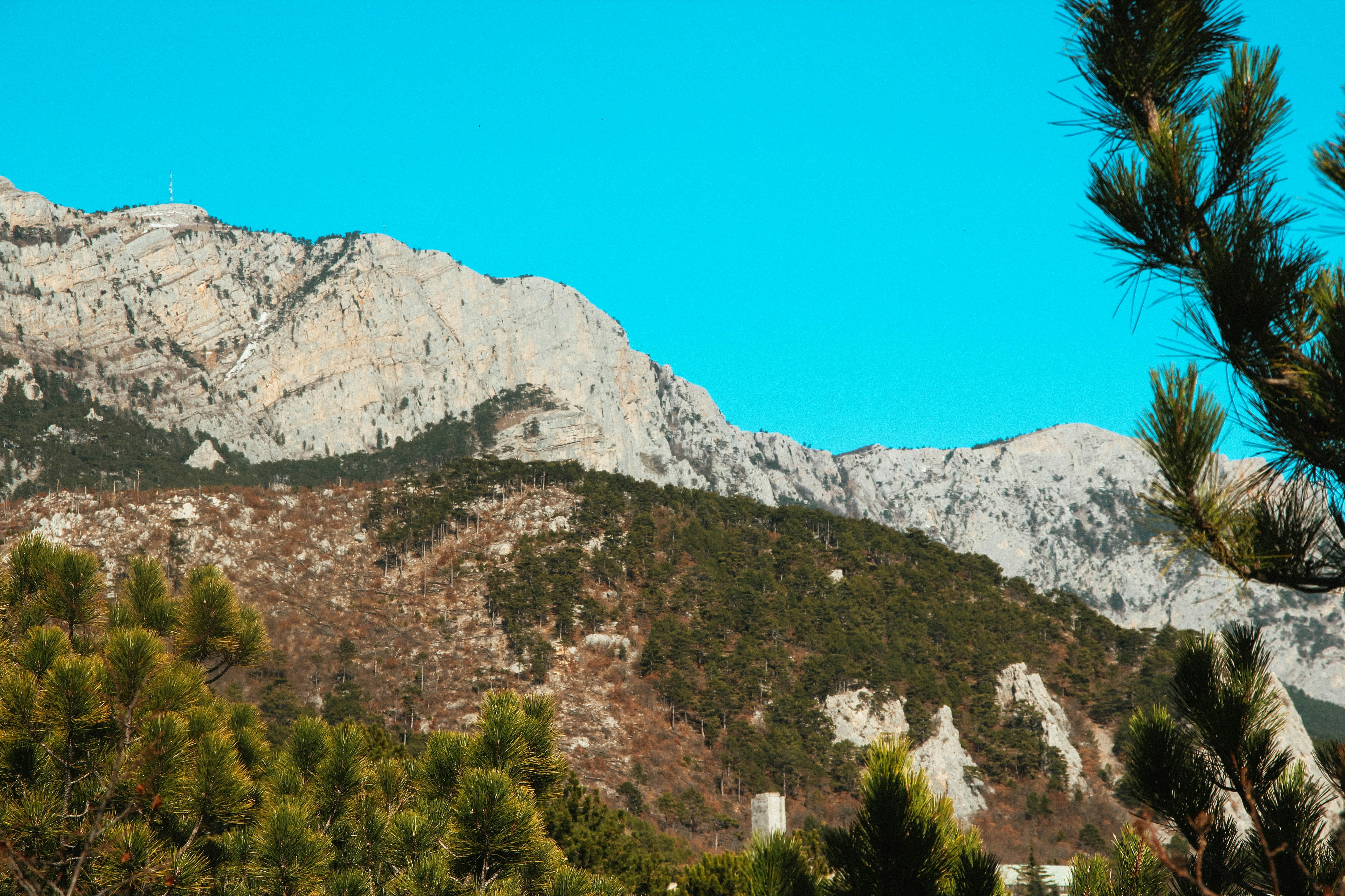 green trees near gray rocky mountain during daytime