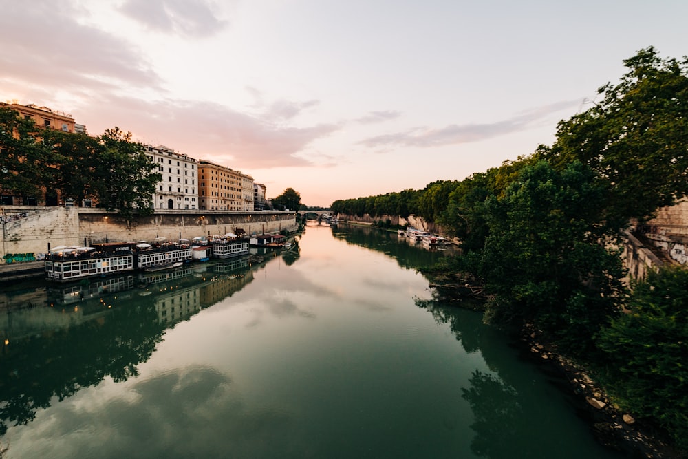 green trees beside river under white clouds during daytime