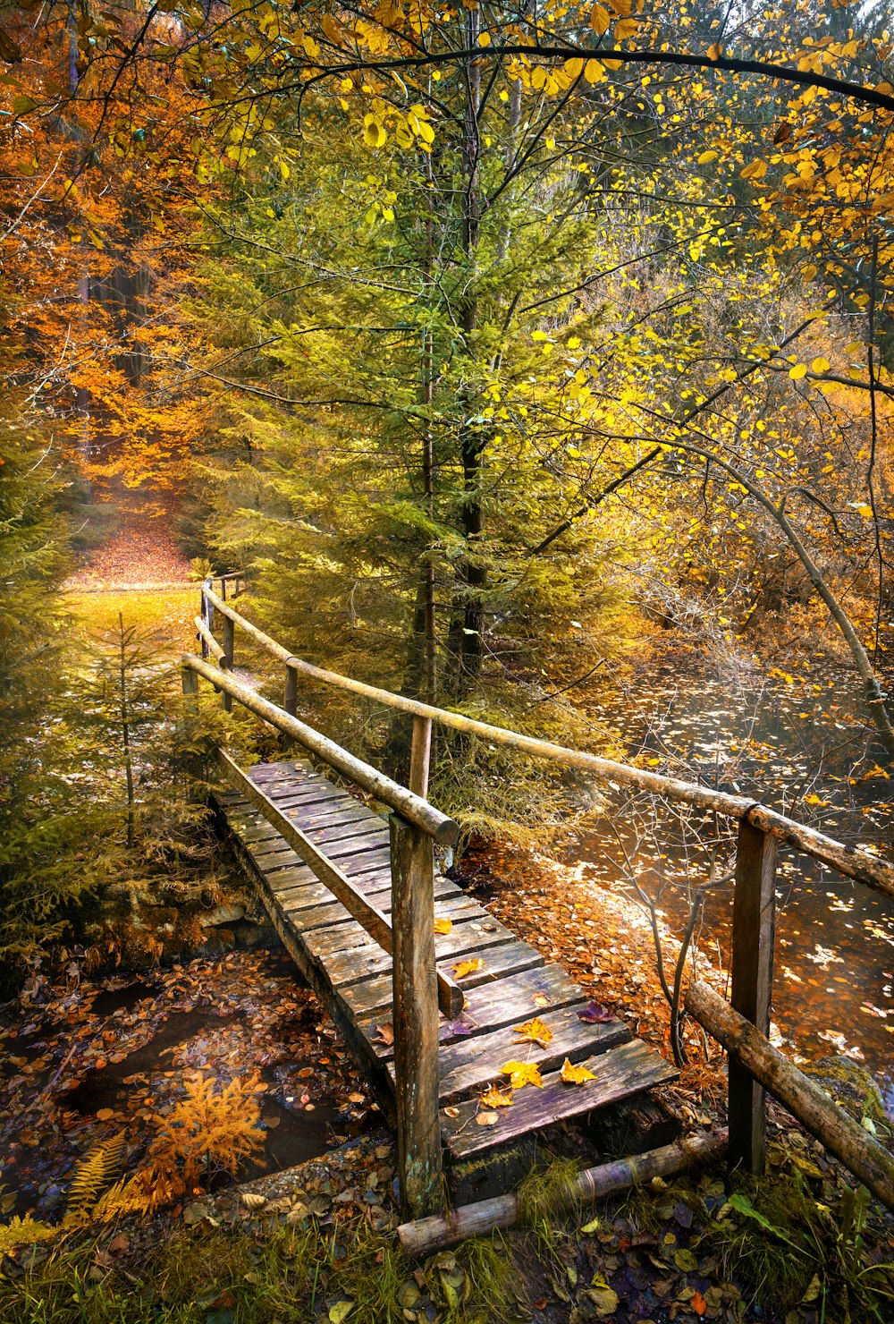 brown wooden bridge in forest during daytime