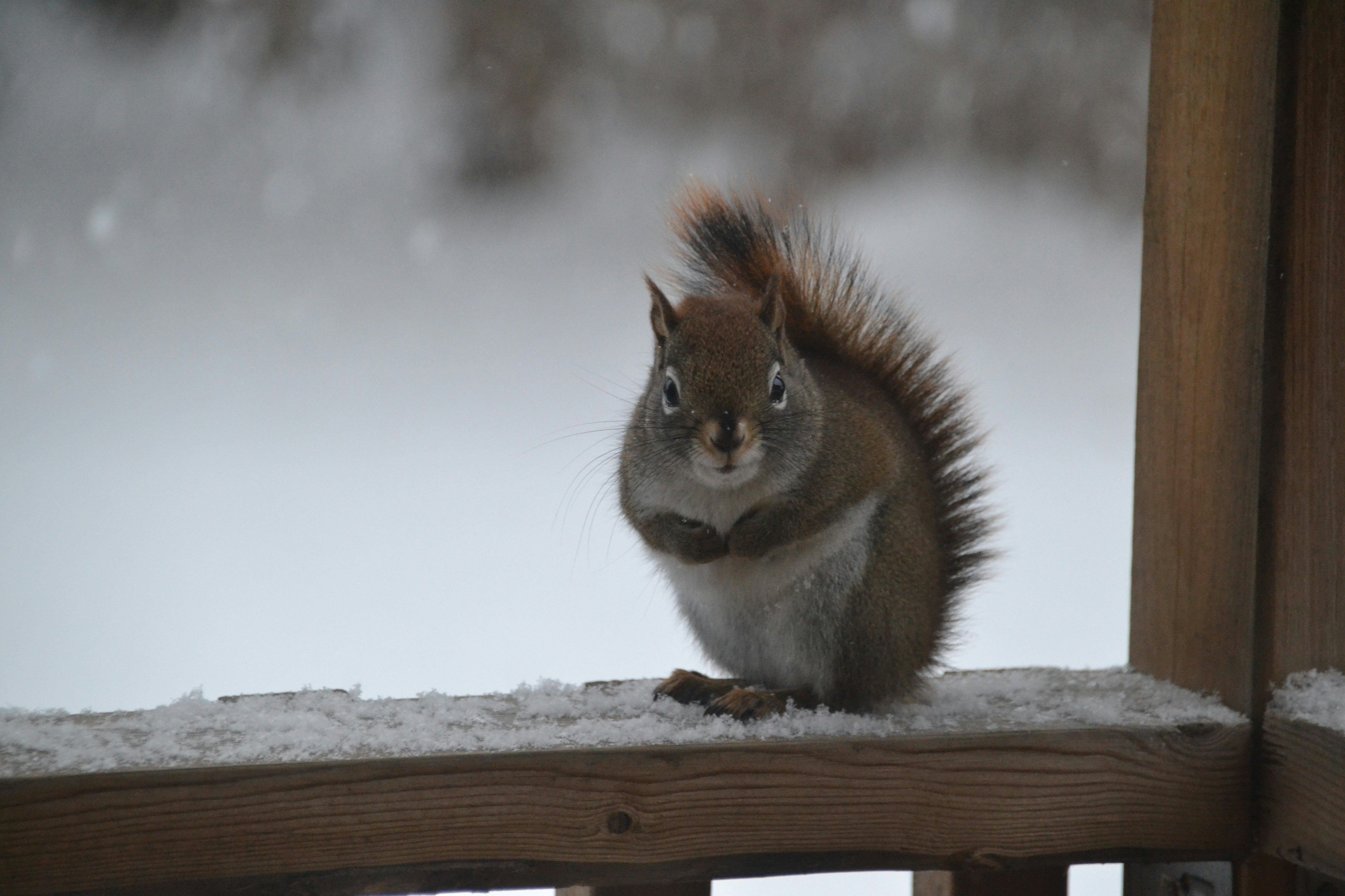 Photo by sassygreenboots