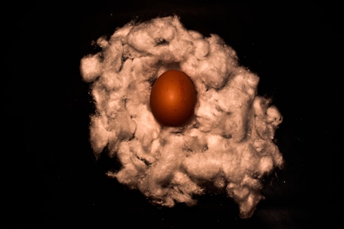 An egg is nestled in a bed of fluffy white cotton-like material against a dark background, creating a stark contrast and a sense of fragility.