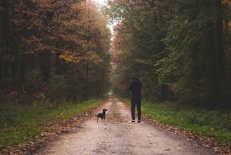 K-SCOOPS.com | Healthy Habits - Weight Management: Keeping Your Pet Fit and Healthy