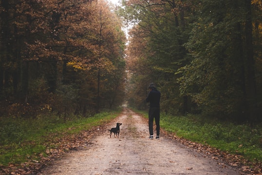 K-SCOOPS.com | Healthy Habits - Weight Management: Keeping Your Pet Fit and Healthy