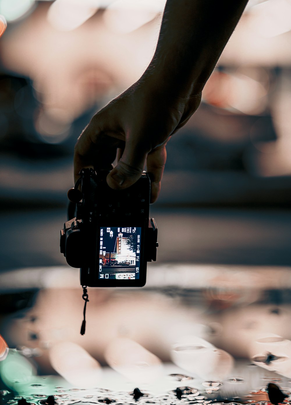 person holding black dslr camera