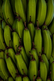 Fresh green bananas packed carefully in export-ready boxes with natural tones