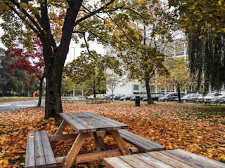 A family enjoying a picnic in a vibrant city park surrounded by autumn leaves.