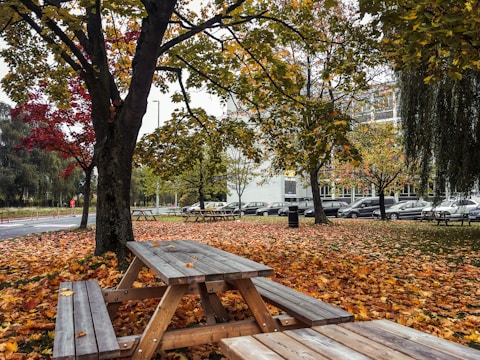 A family enjoying a picnic in a vibrant city park surrounded by autumn leaves.