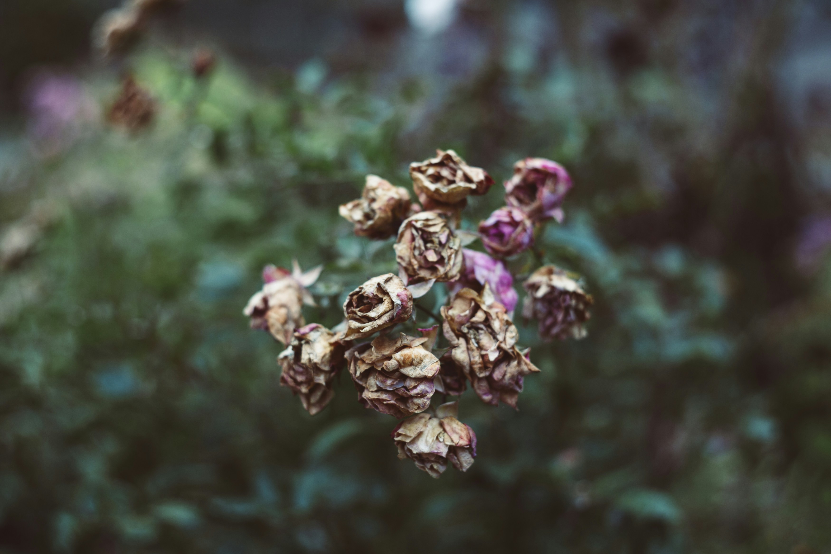 Photo by markusspiske