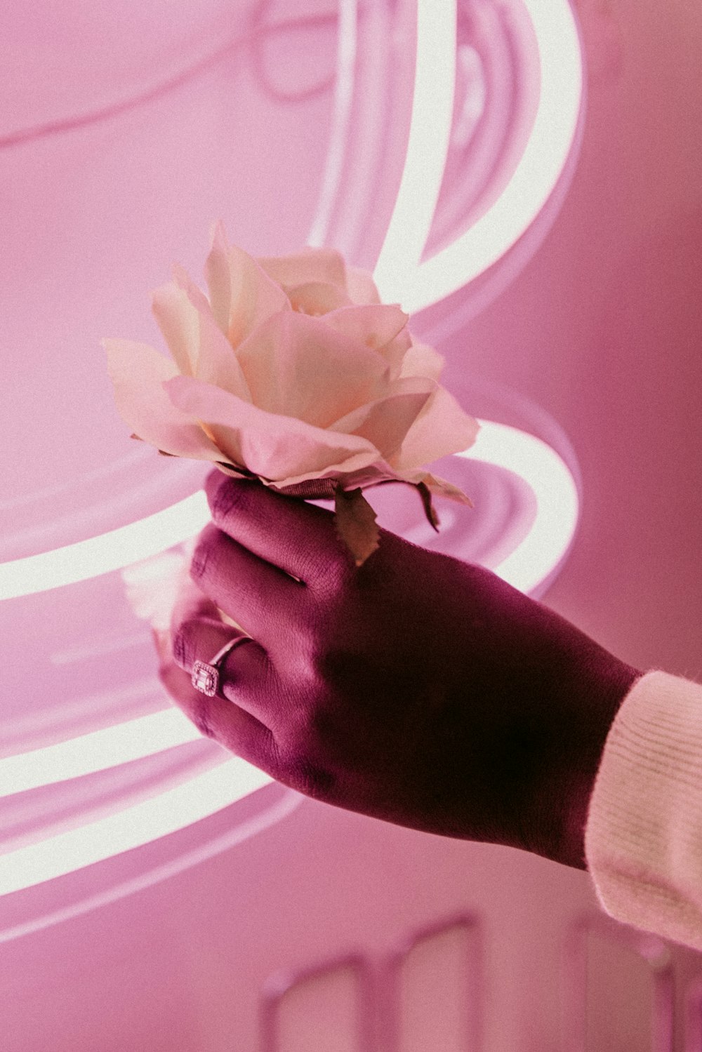 person holding white flower in close up photography