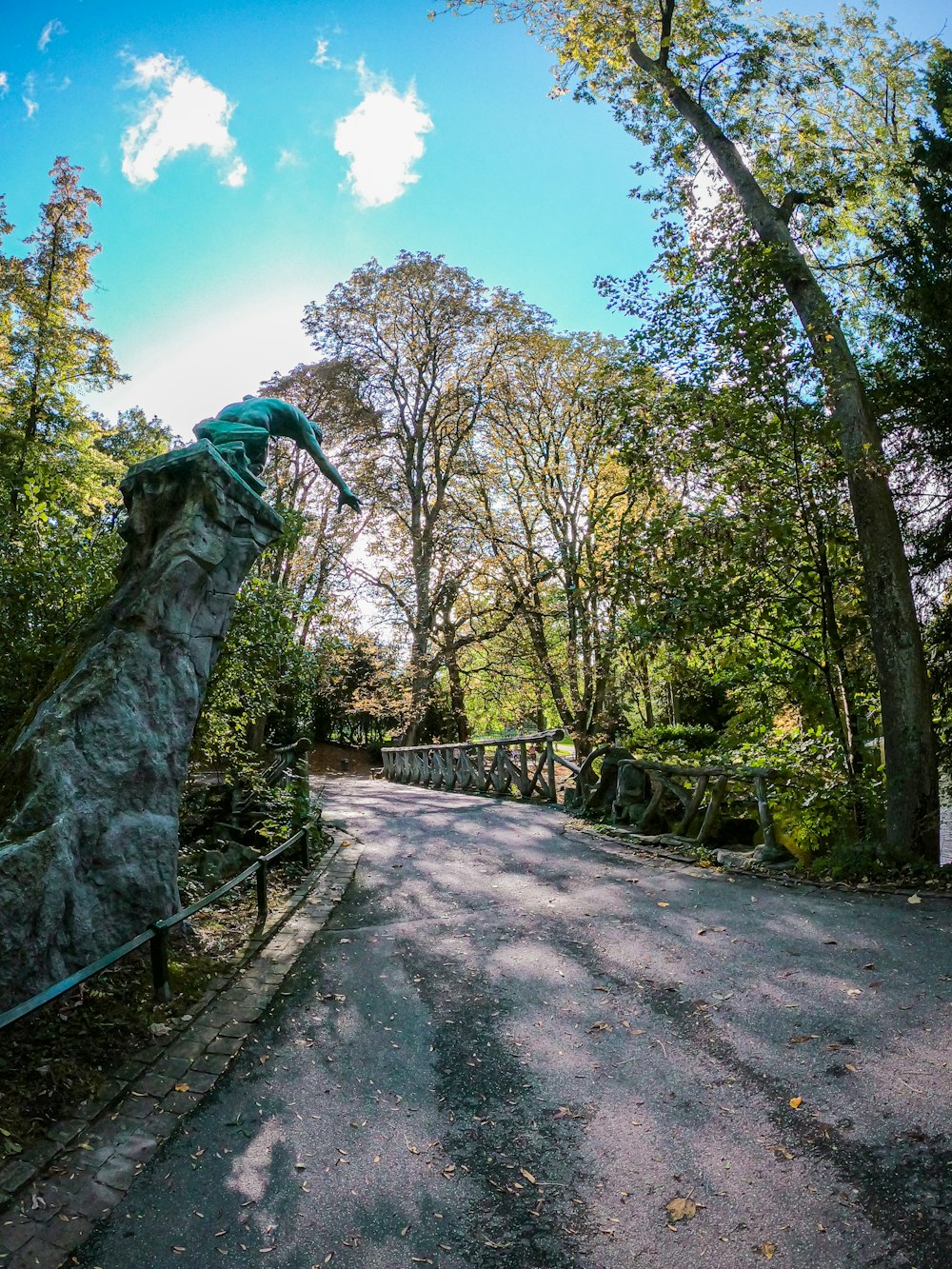 grüner Baum in der Nähe von braunem Holzzaun