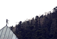 A silhouette of a figure playing a trumpet is perched on a rooftop, with a misty forest in the background. The scene is atmospheric and serene, with the forest extending into the foggy distance.